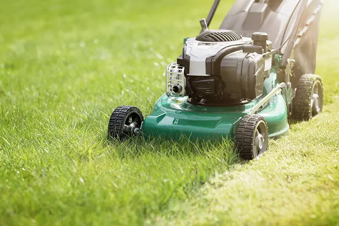 Can You Mow Wet Grass in Billings, MT