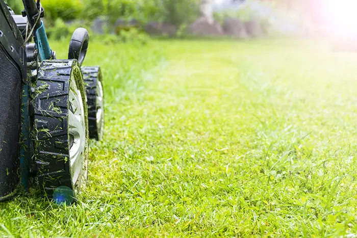 Can You Mow Wet Grass in Billings, MT