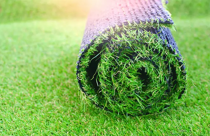 How long after installing sod can you walk on it in Billings, MT