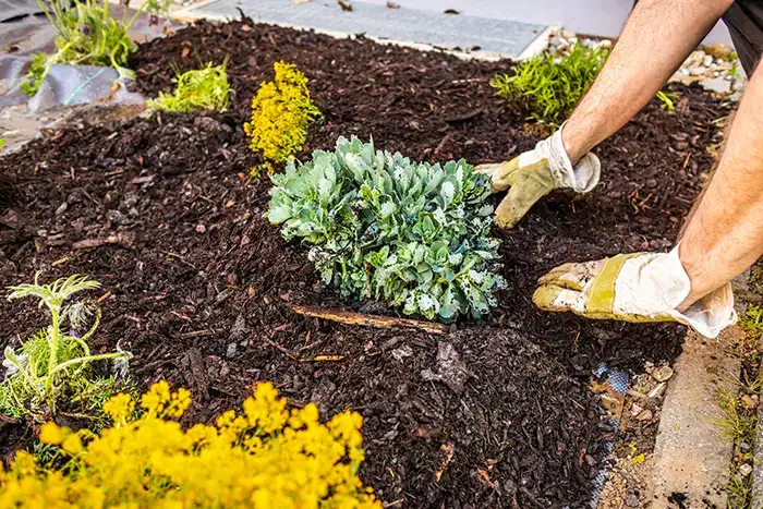 How long does mulch last  in Billings, MT