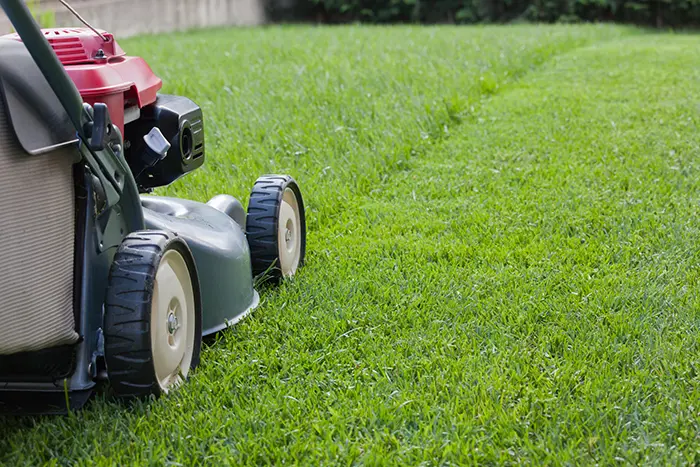 How to Mow a Lawn in Billings, MT