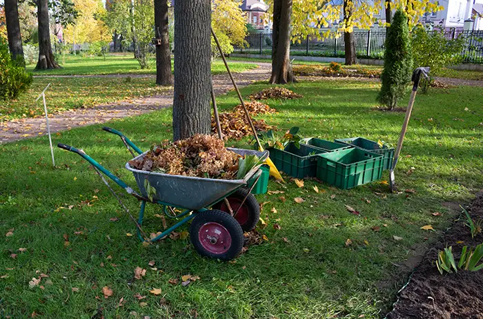 How to clear a yard full of weeds in Billings, MT