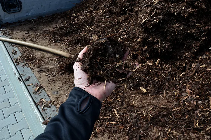 Mulching in Billings, MT