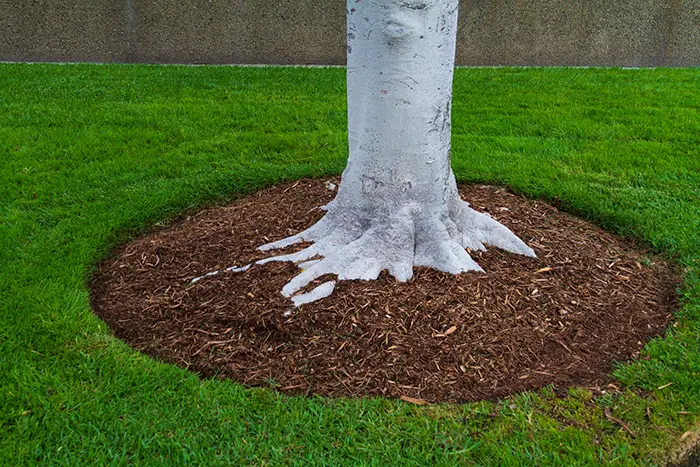 Mulching in Billings, MT