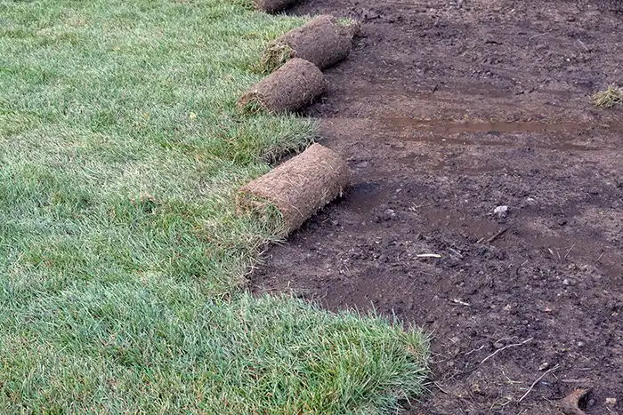 Sod Installation in Billings, MT