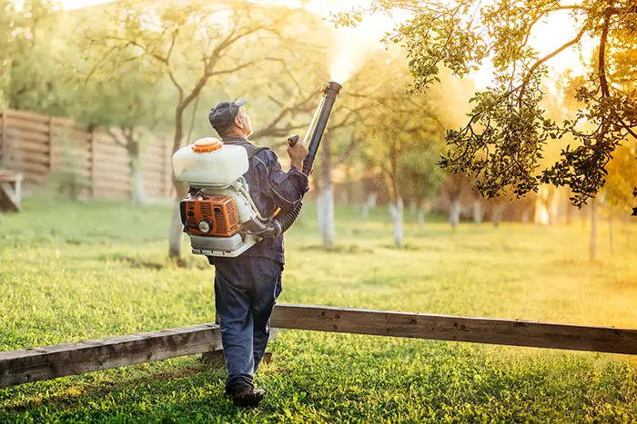 When is the best time to fertilize your lawn in Billings, MT