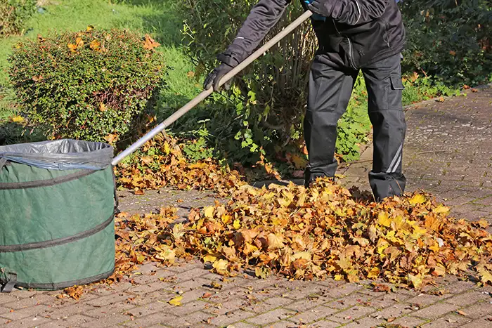 Yard Cleanup in Billings, MT