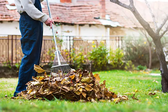 Yard Cleanup in Billings, MT