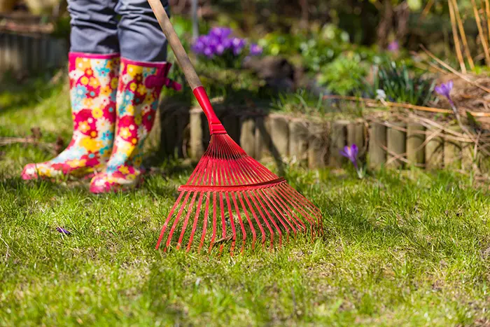 Yard Cleanup in Billings, MT